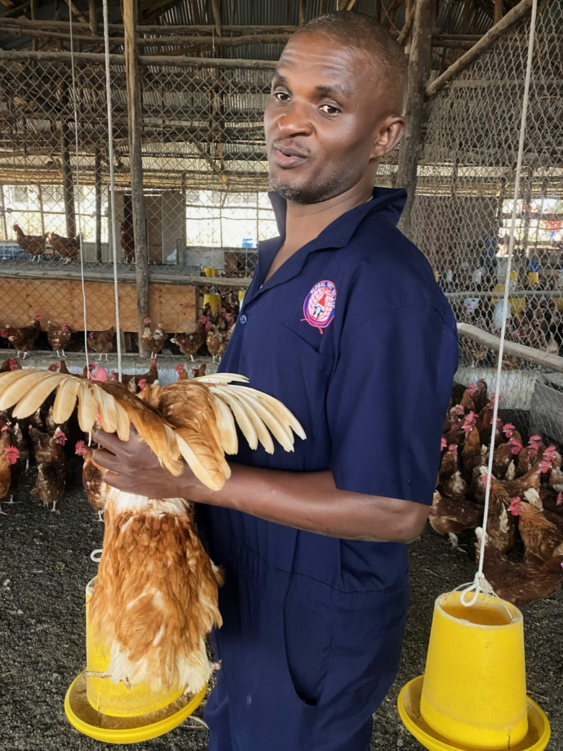 Veterinary team working with farmers