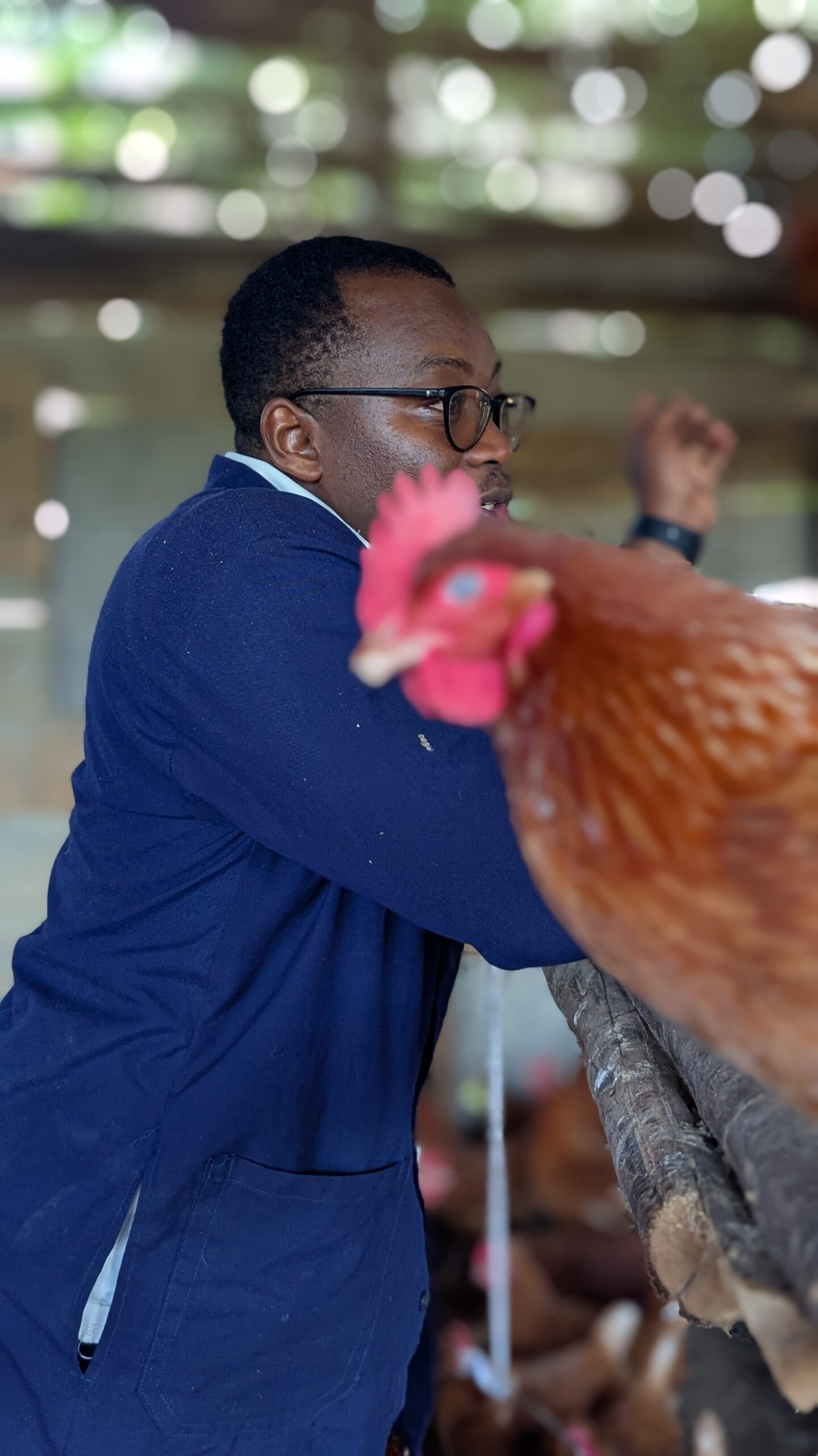 On-farm veterinary support