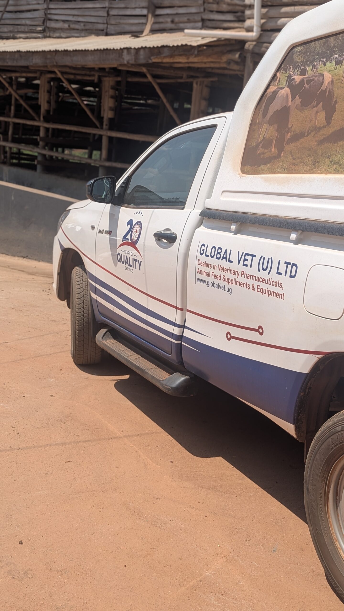 Global Vet veterinary field work
