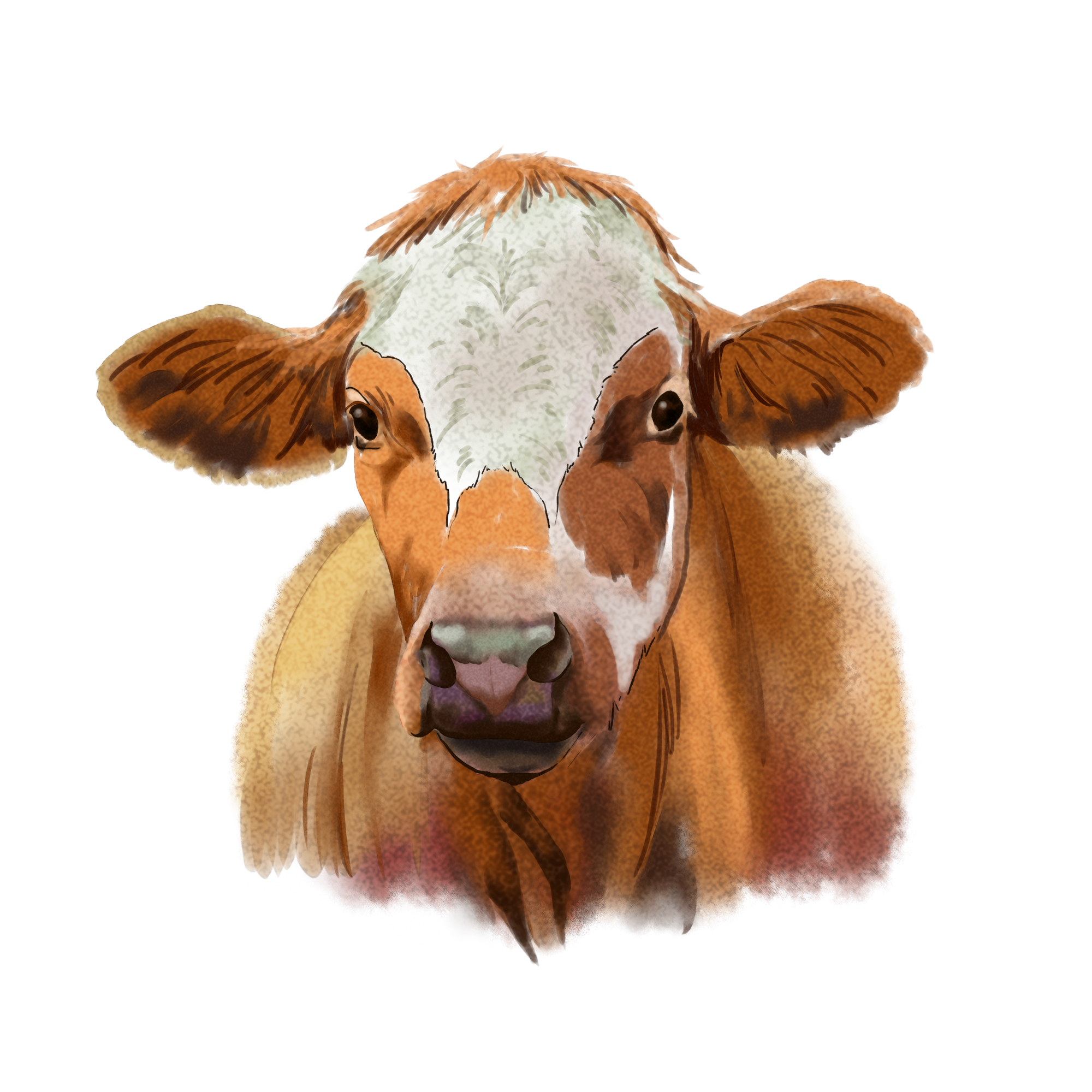 Cattle Medicine